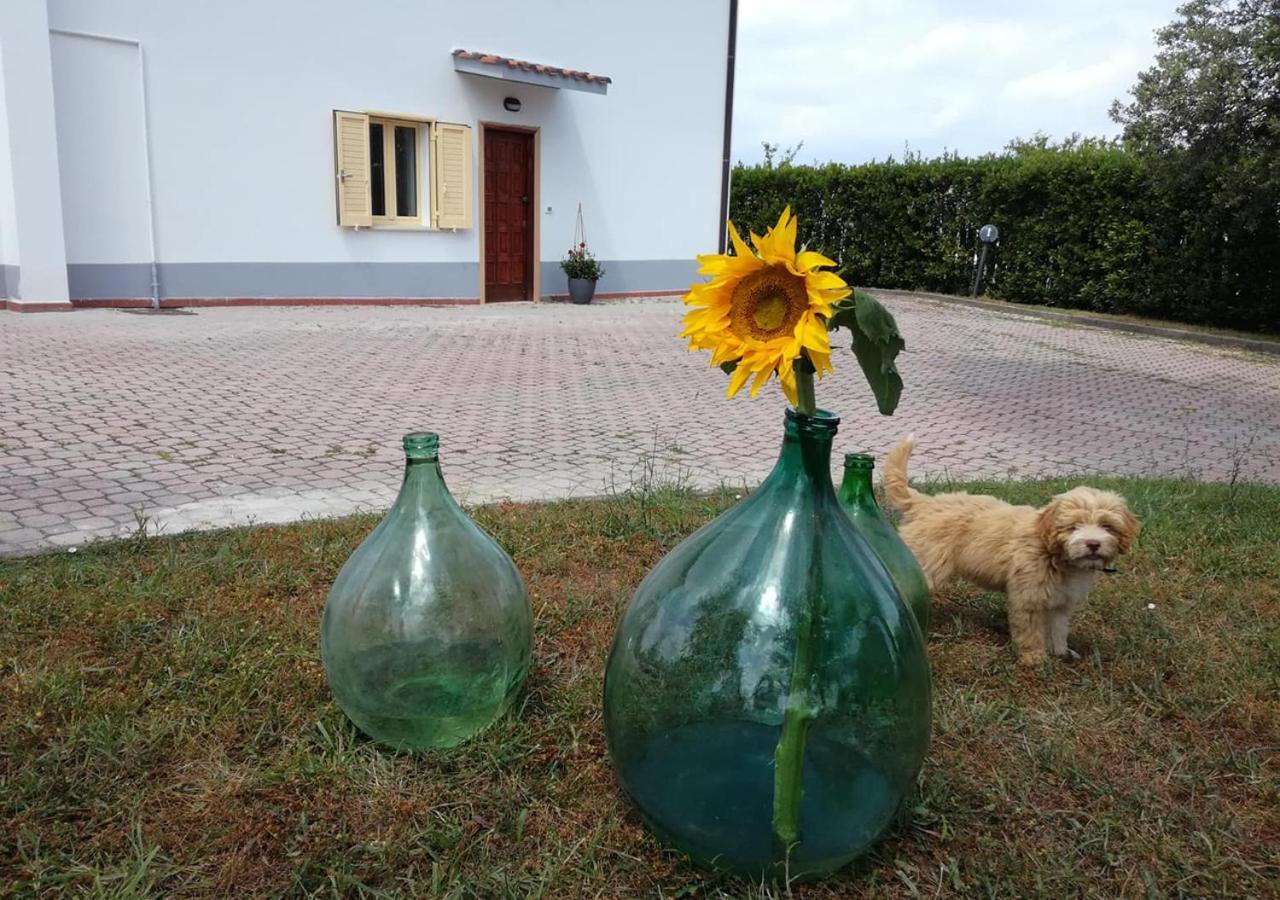 Casa Amrita, Yoga B&B テーラモ エクステリア 写真